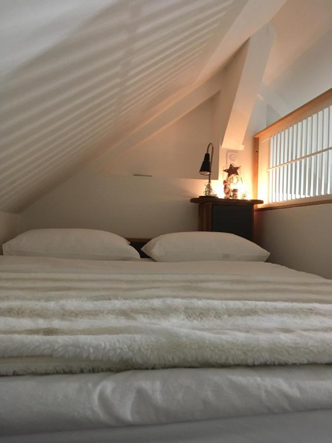 Logement Climatise Erdre Riviere لا شابيل سور إردر المظهر الخارجي الصورة